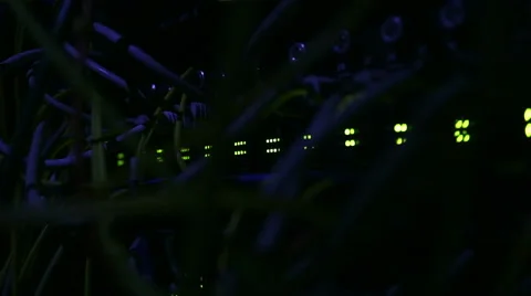 Operating network equipment in the server room. Processing the data stream Stock Footage 69035982