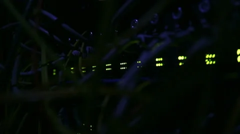 Operating network equipment in the server room. Processing the data stream Stock Footage 69036138