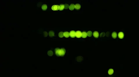 Operating network equipment in the server room. Processing the data stream Stock Footage 69036346