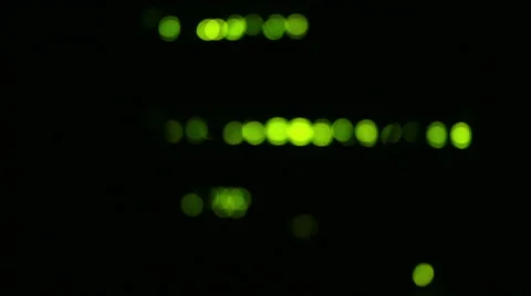 Operating network equipment in the server room. Processing the data stream Stock Footage 69036607