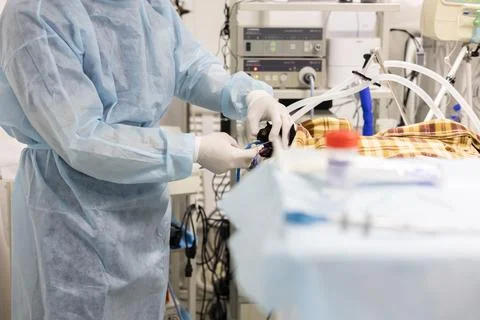 In the operating room, a veterinary surgeon performs a major operation on an Stock Photos