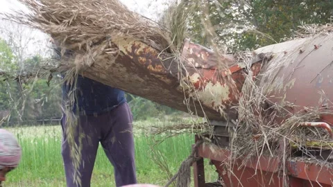 Operating Threshing Machine 库存影片 333923382