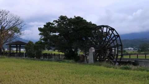 Operating waterwheel in the rice fields with pavilion and trees,Wooden kiosk. Stock Footage 278280758