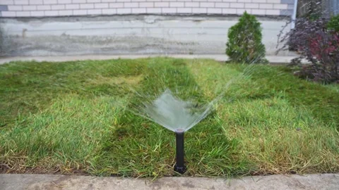 Operation of the automatic watering sprayer Stock Footage 314308670