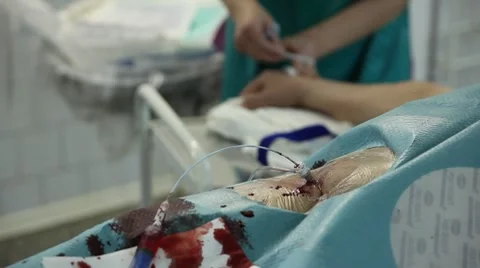 Operation Stockbeeldmateriaal 7130741