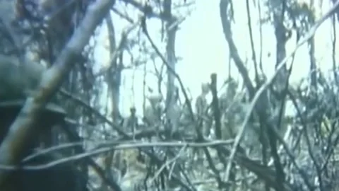 OPERATION JEB STUART III (1ST AIR CAVALRY DIVISION) (15) Stock Footage 237862287