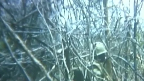 OPERATION JEB STUART III (1ST AIR CAVALRY DIVISION) (18) Stock Footage 237862296