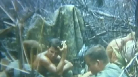 OPERATION JEB STUART III (1ST AIR CAVALRY DIVISION) (19) Stock Footage 237862300