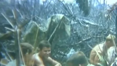 OPERATION JEB STUART III (1ST AIR CAVALRY DIVISION) (20) Stock Footage 237862308