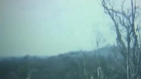 OPERATION JEB STUART III (1ST AIR CAVALRY DIVISION) (47) Stock Footage 237862421