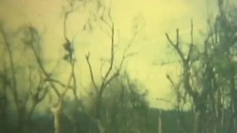 OPERATION JEB STUART III (1ST AIR CAVALRY DIVISION) (55) Stock Footage 237862455