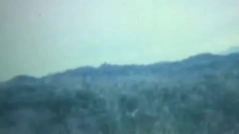 OPERATION JEB STUART III (1ST AIR CAVALRY DIVISION) (59) Stock Footage 237862467
