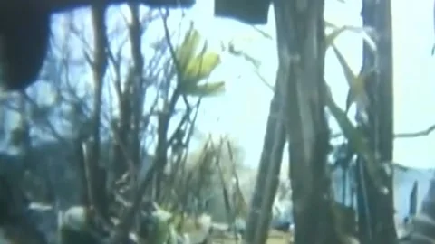 OPERATION JEB STUART III (1ST AIR CAVALRY DIVISION) (6) Stock Footage 237862472