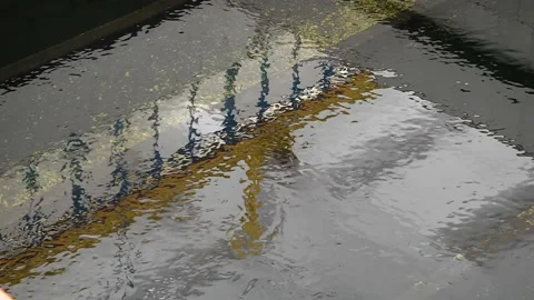 Operation of the pumping filter station for water purification Stock-Footage 103543370