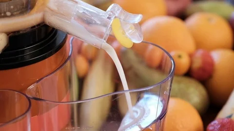 Operation of a screw juicer. Stock Footage 89122862