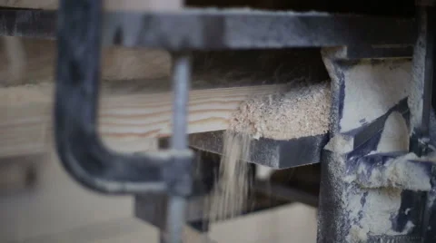 Operation of woodworking circular sawing machine Stock Footage 59559280