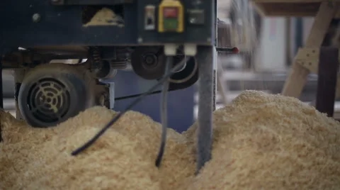 Operation of woodworking circular sawing machine Stock Footage 59560164
