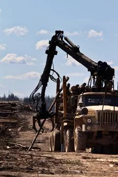 Operations for loading a logging truck Stock Photos