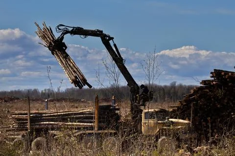 Operations for loading a logging truck Stock Photos