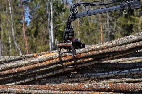 Operations for loading a logging truck Stock-Fotos