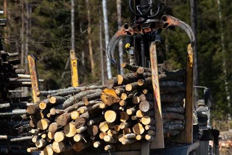 Operations for loading a logging truck Stock Photos