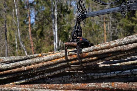 Operations for loading a logging truck Stock Photos