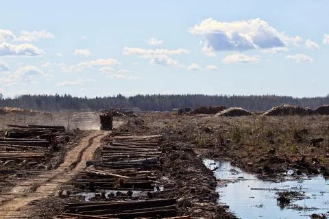 Operations for loading a logging truck Stock Photos