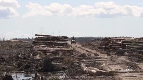 Operations for loading-unloading logging truck Stock Footage 171245346