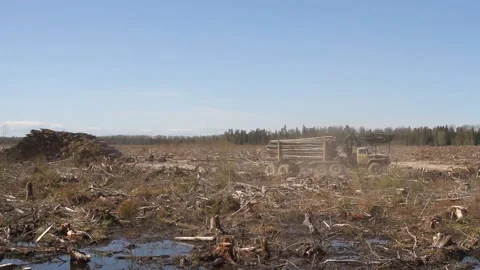 Operations for loading-unloading logging truck Stock Footage 171245465