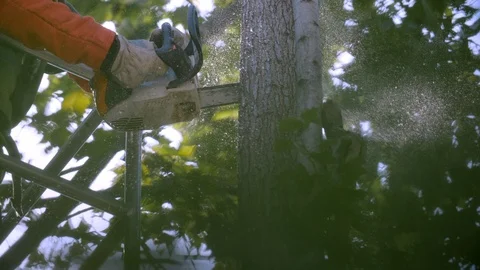 Operator cutting a Tree with a Chainsaw. Tree pruning 08 Stock Footage 94936573