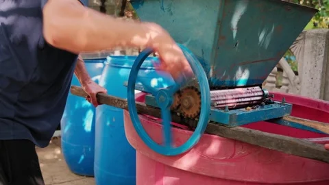 Operator hands engage blue flywheel and wooden lever on manual roller press 스톡 동영상 341466358