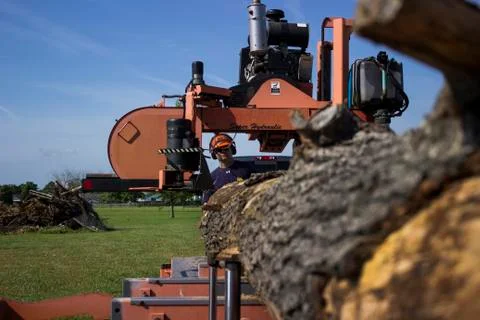 Operator peering down rail at log on portable sawmill  스톡 사진