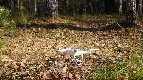 The operator remotely controls the drone. Flight of the drone. Yellow leaves up 库存影片 81139084