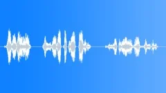Operator voice Sound Effect
