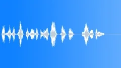 Operator voice Sound Effect