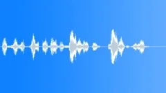 Operator voice Sound Effect