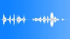 Operator voice Sound Effect