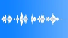 Operator voice Sound Effect