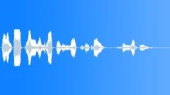 Operator voice Sound Effect