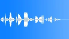 Operator voice Sound Effect