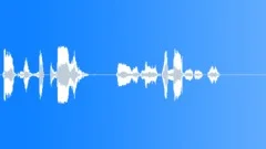 Operator voice Sound Effect