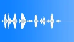 Operator voice Sound Effect