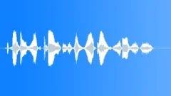 Operator voice Sound Effect