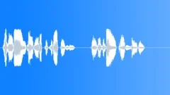 Operator voice Sound Effect