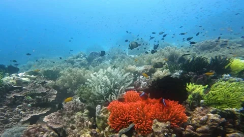 The operator's camera moves slowly to capture the beauty of the underworld. You Stock Footage 210044669