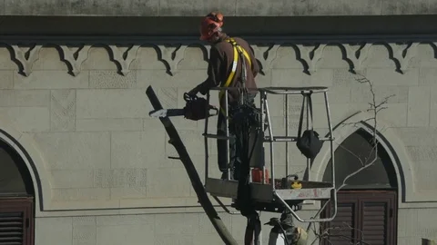 Operators Elevator Basket Pruning Branches Stock Footage 123868610