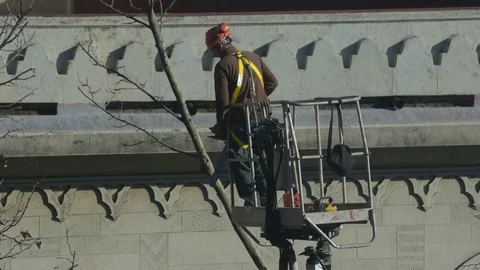 Operators Elevator Basket Pruning Branches Stock Footage 123868611