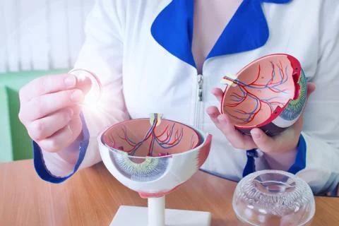 Ophthalmology oculus sample closeup Stock Photos
