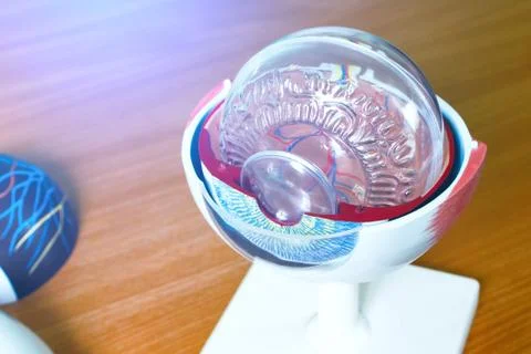 Ophthalmology oculus sample closeup Stock Photos