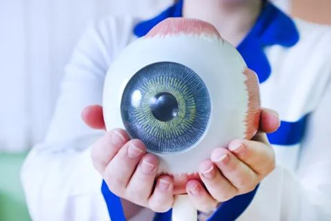 Ophthalmology oculus sample closeup Stock Photos
